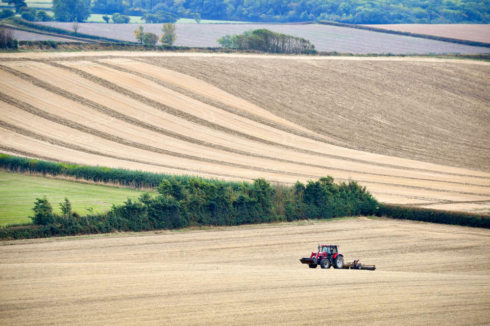 A red tractor in a field in Somerset. 