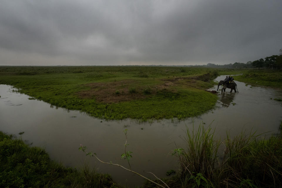 Forest officers ride an elephant as they count one-horned Rhinoceros' during a rhino census in Kaziranga national park, in the northeastern state of Assam, India, Saturday, March 26, 2022. Nearly 400 men using 50 domesticated elephants and drones scanned the park’s 500 square kilometers (190 square miles) territory in March and found the rhinos' numbers increased more than 12%, neutralizing a severe threat to the animals from poaching gangs and monsoon flooding. (AP Photo/Anupam Nath)