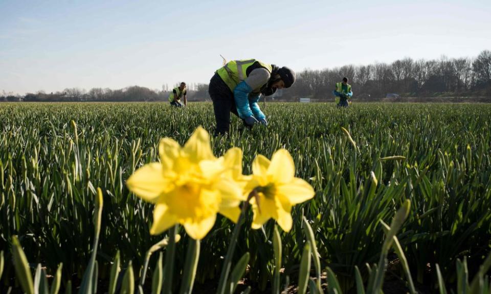 <span>Photograph: Oli Scarff/AFP/Getty Images</span>