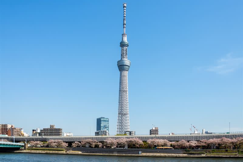 易遊網東京晴空塔天望甲板與天望回廊雙展望台門票每日限量搶，只要174元起。（圖／業者提供）