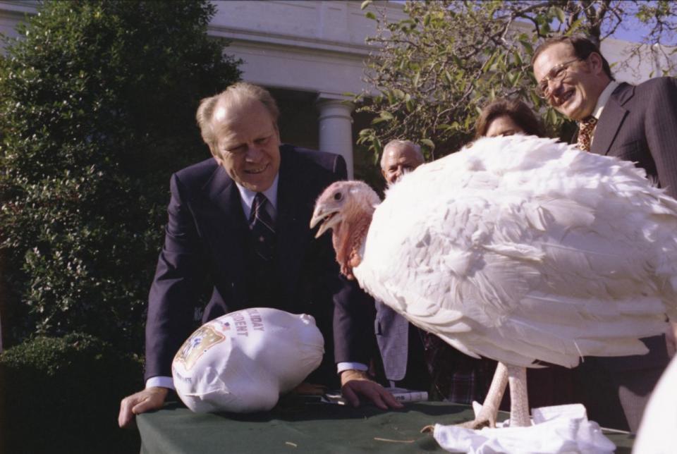 President Gerald R. Ford is presented with a Thanksgiving turkey by the National Turkey Federation on Nov. 20, 1975. (Photo: U.S. National Archives)