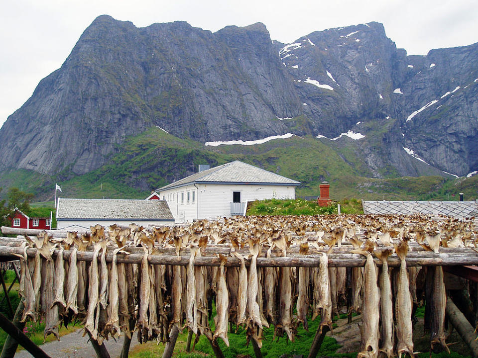 雷納 (Photo by Nikolaj Bock, License: CC BY-SA 2.5, Wikimedia Commons提供, 圖片來源commons.wikimedia.org/wiki/File:Lofoten,_Nikolaj_Bock_(2).jpg)