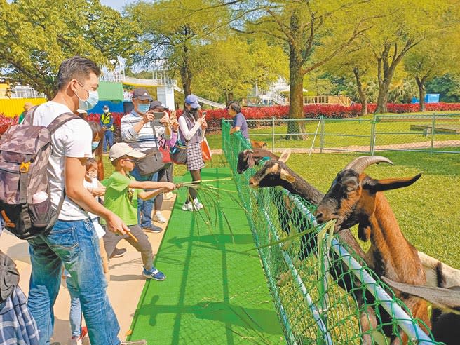 綠博「可愛動物區」可以親自餵食羊咩咩。（胡健森攝）