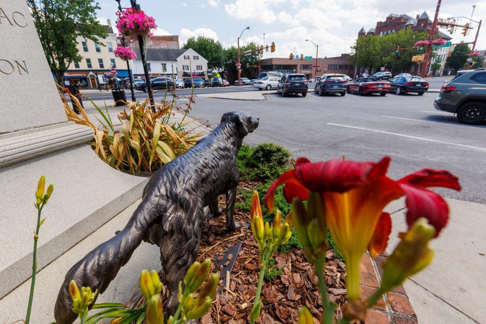 "Iron Mike," a cast iron statue of a dog commissioned by George Washington Welsh in the 1800s, looks out across center square, Thursday, June 27, 2024, in Hanover Borough.