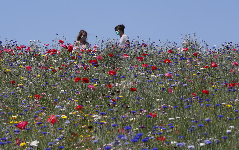 A couple wears a face mask as they enjoy the sun in park full of flowers, in Milan, Italy, Monday, May 4, 2020. Italy began stirring again Monday after a two-month coronavirus shutdown, with 4.4 million Italians able to return to work and restrictions on movement eased in the first European country to lock down in a bid to stem COVID-19 infections. (AP Photo/Antonio Calanni)