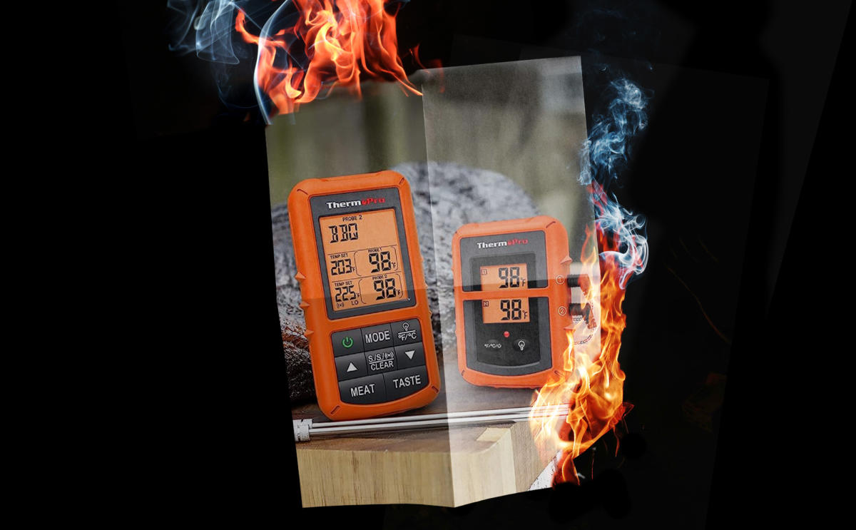 ThermoPro TP20: A Hands-on Review - Barbecue FAQ