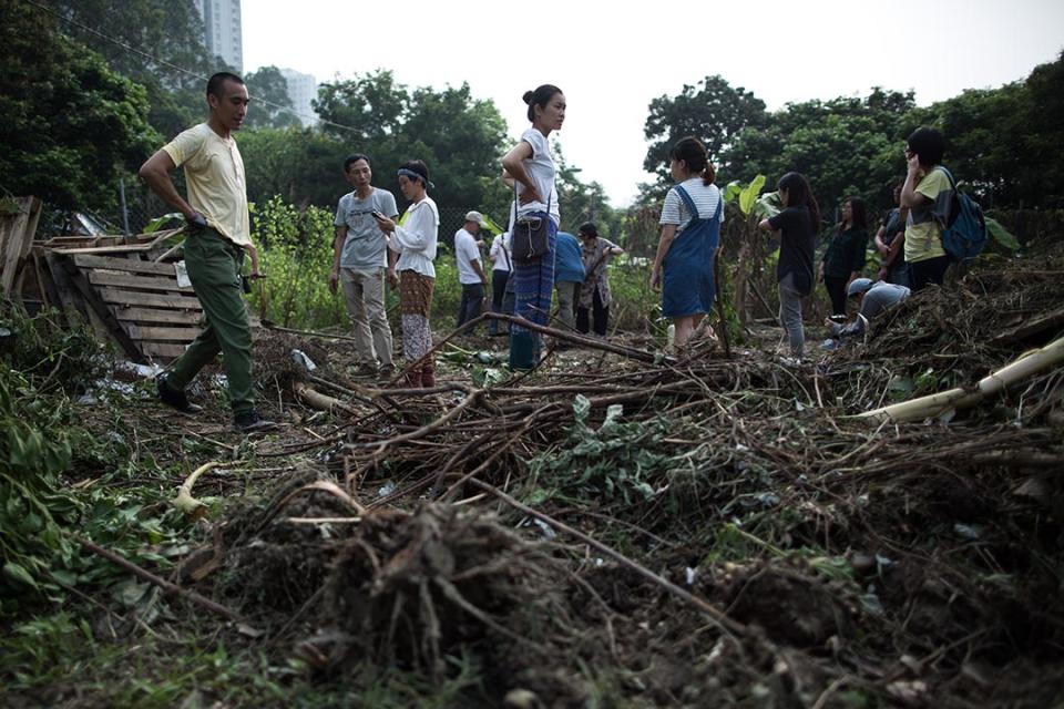 馬屎埔村一塊農地遭挖土機破壞後，村民及聲援人士在農地上重新平整農地。