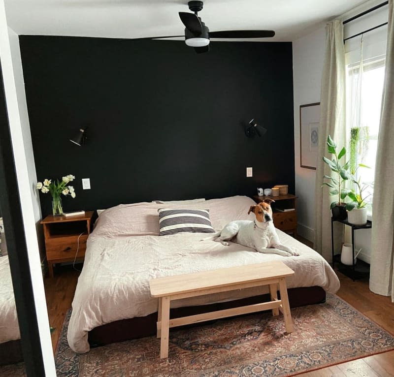 White bedroom with black accent wall and dog on bed