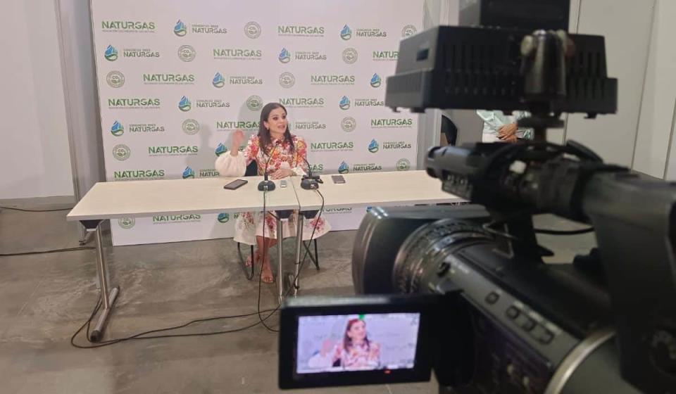 Presidente de la Asociación Colombiana de Gas Natural (Naturgas), Luz Stella Murgas. Imagen: Valora Analitik