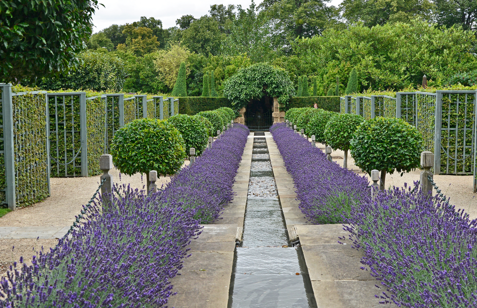 <p>Gardens by Design / Shutterstock</p>