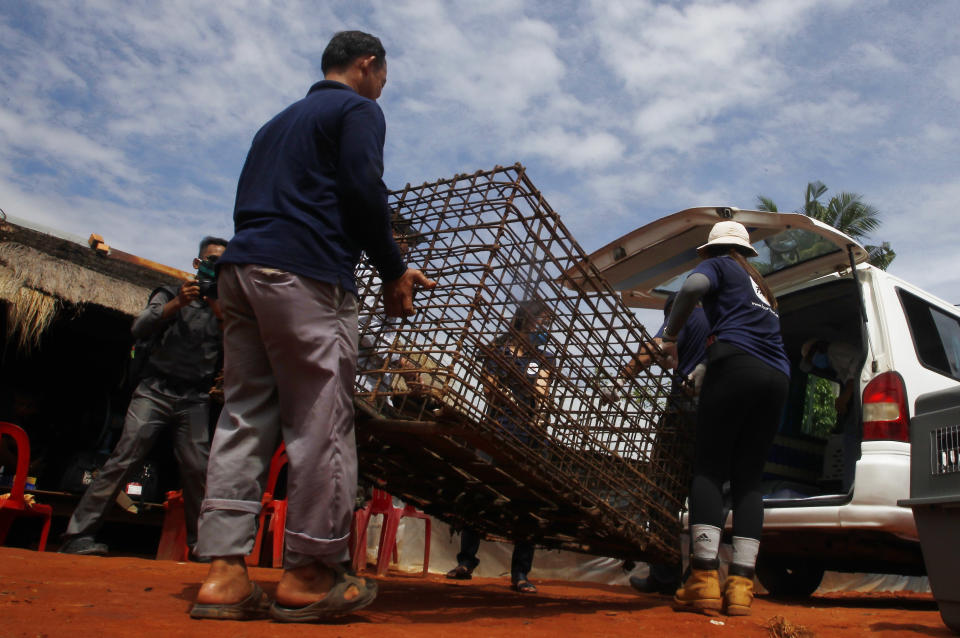 Buth Pith, left, a slaughterhouse owner helps staff members of FOUR PAWS International, to placing his big dog's cage into a van at Chi Meakh village in Kampong Thom province north of Phnom Penh, Cambodia, Wednesday, Aug. 5, 2020. Animal rights activists in Cambodia have gained a small victory in their effort to end the trade in dog meat, convincing a canine slaughterhouse in one village to abandon the business. (AP Photo/Heng Sinith)