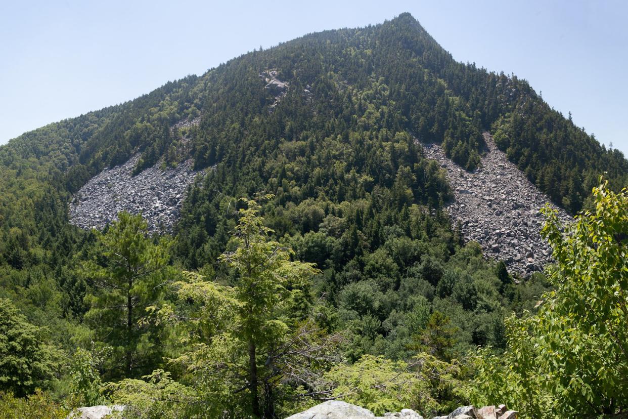 Green Mountain National Forest in Vermont