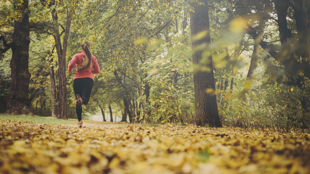  Woman jogging in autumnal park. 