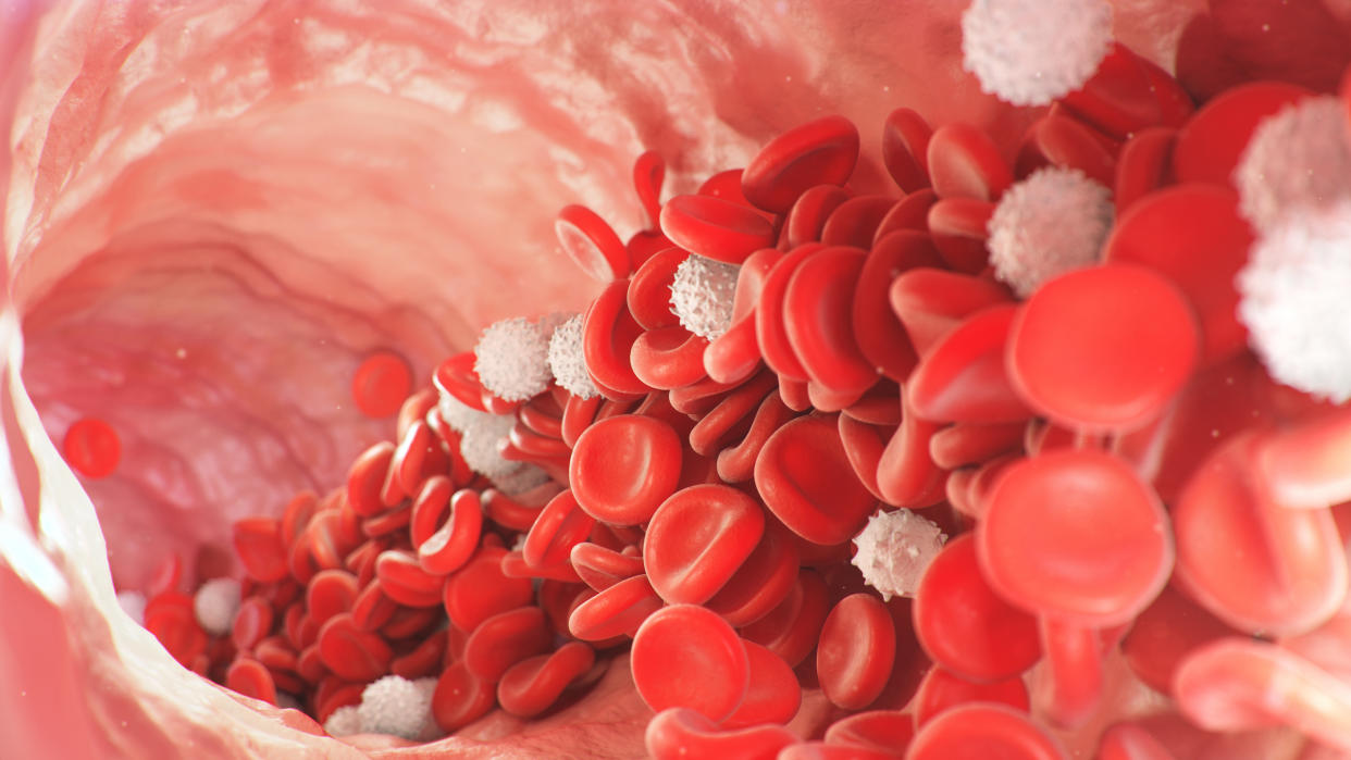 Red and white blood cells move inside the artery. Red blood cells carry nutrients for the whole body, for example, oxygen. Medical science illustration. 3d rendering