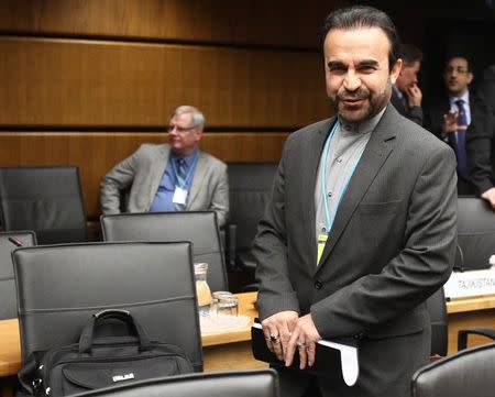 Iran's ambassador to the International Atomic Energy Agency (IAEA) Reza Najafi arrives for a board of governors meeting at the IAEA headquarters in Vienna June 2, 2014. REUTERS/Heinz-Peter Bader