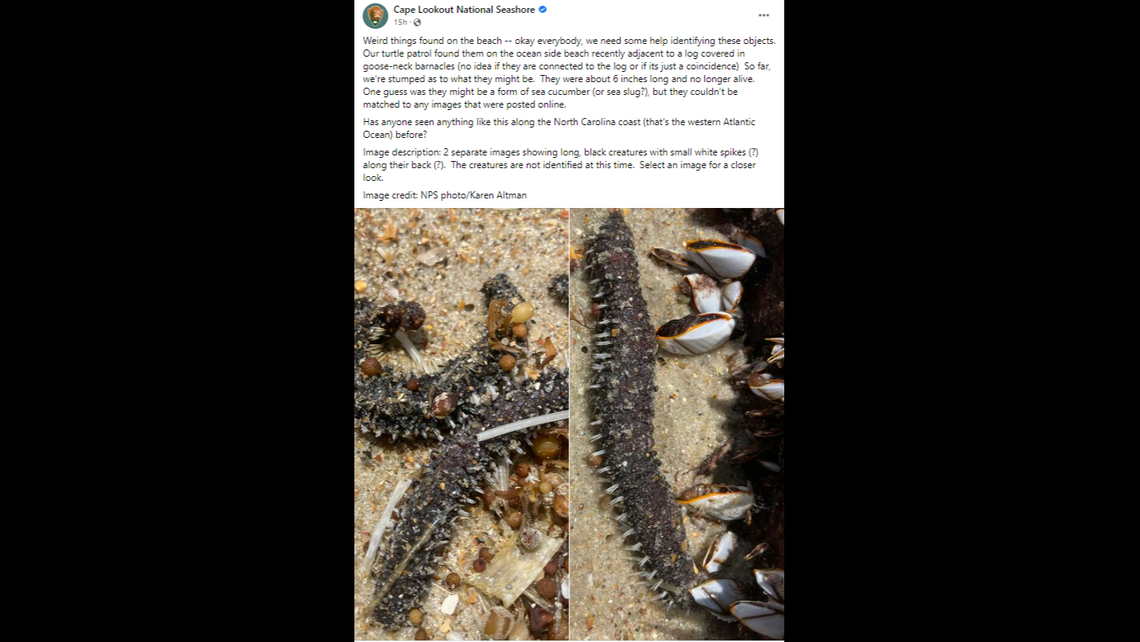 This is the park’s Facebook post seeking help with identification.