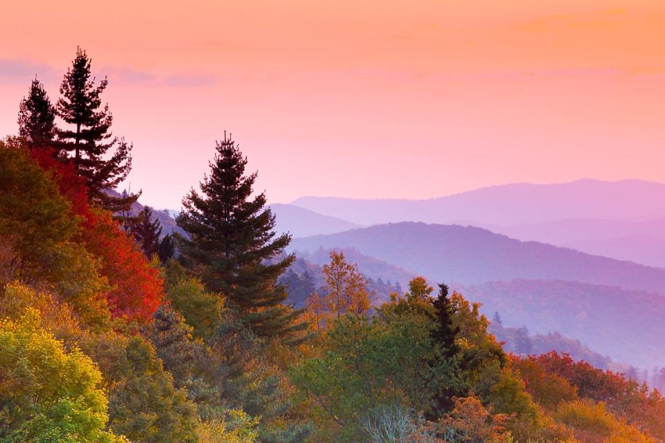 <p>A fuchsia sky serves as the serene backdrop for an autumn-colored mountainside.</p>