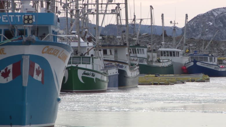 Atlantic Canada's seafood industry gets a boost as China lowers tariffs