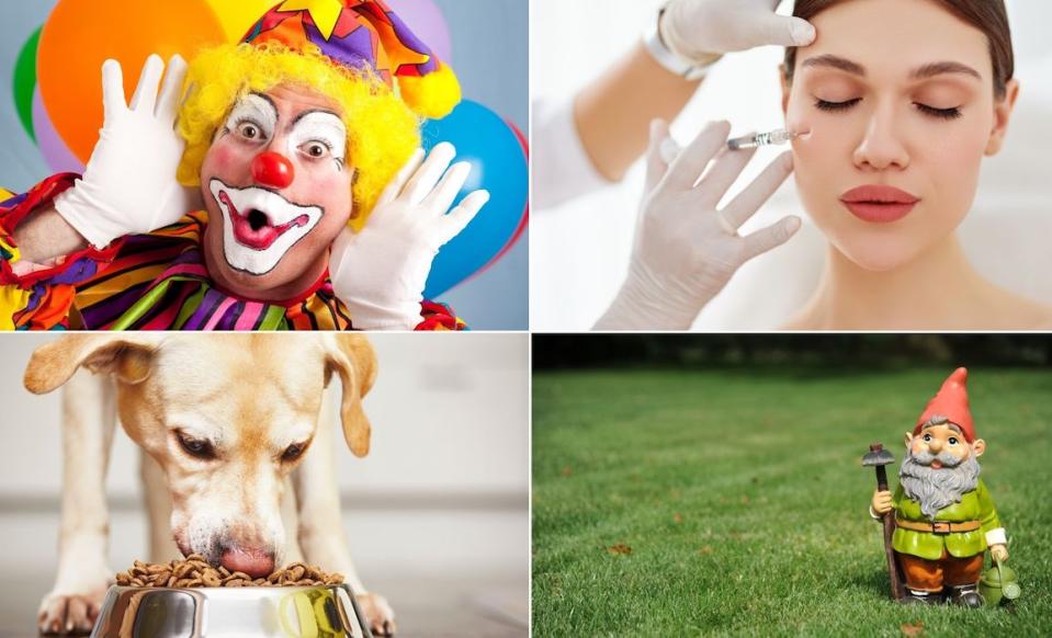 Compilation image of 4 images: clown, cosmetic injections, dog eating dog food and garden gnome