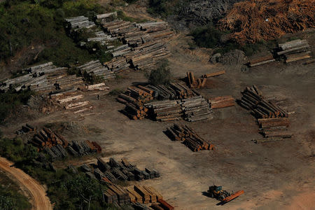 Piles of wood are seen during "Operation Green Wave" conducted by agents of the Brazilian Institute for the Environment and Renewable Natural Resources, or Ibama, to combat illegal logging in Apui, in the southern region of the state of Amazonas, Brazil, July 27, 2017. REUTERS/Bruno Kelly