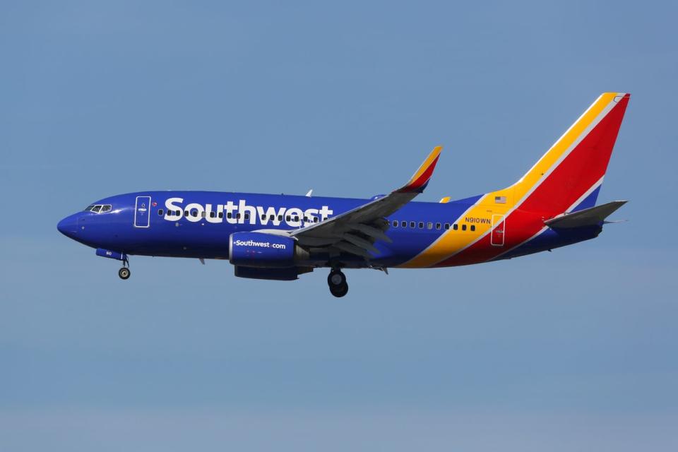 <p>Southwest has joined its competitors in issuing the ban</p> (Getty Images)