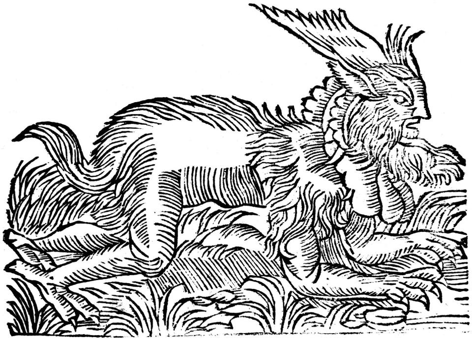 lycanthropy, forest demon captured in germany in 1531