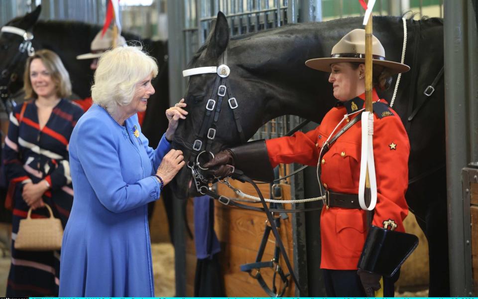 The couple also paid a visit to the Royal Canadian Mounted Police Musical horse ride event - Ian Vogler 