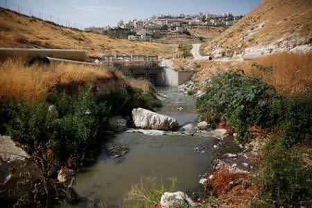 Sewage flows in Kidron Valley, on the outskirts of Jerusalem July 6, 2017. Picture taken July 6, 2017. REUTERS/Ronen Zvulun