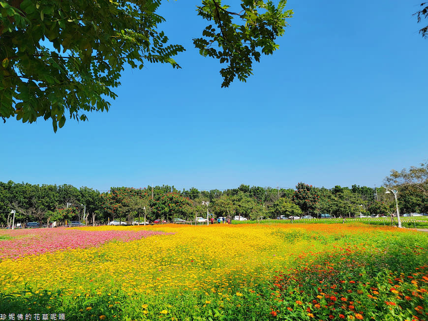 屏東｜新埤鄉綜合休閒公園