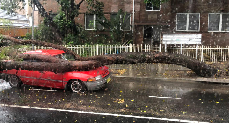 Severe weather causes chaos across Sydney