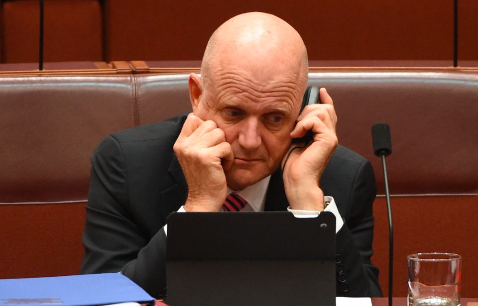 The responses were sent to several members of the public, however the Senator's office has said Senator Leyonhjelm himself is not responsible for the messages. Photo: AAP