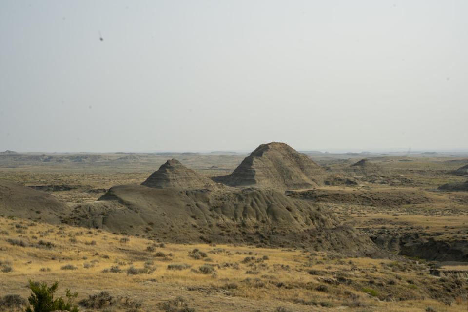 Hell Creek Formation