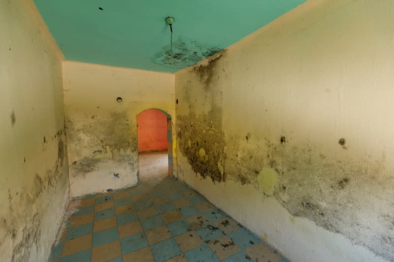 An interior of a house for sale for 1 HRK is seen in village Zablatje