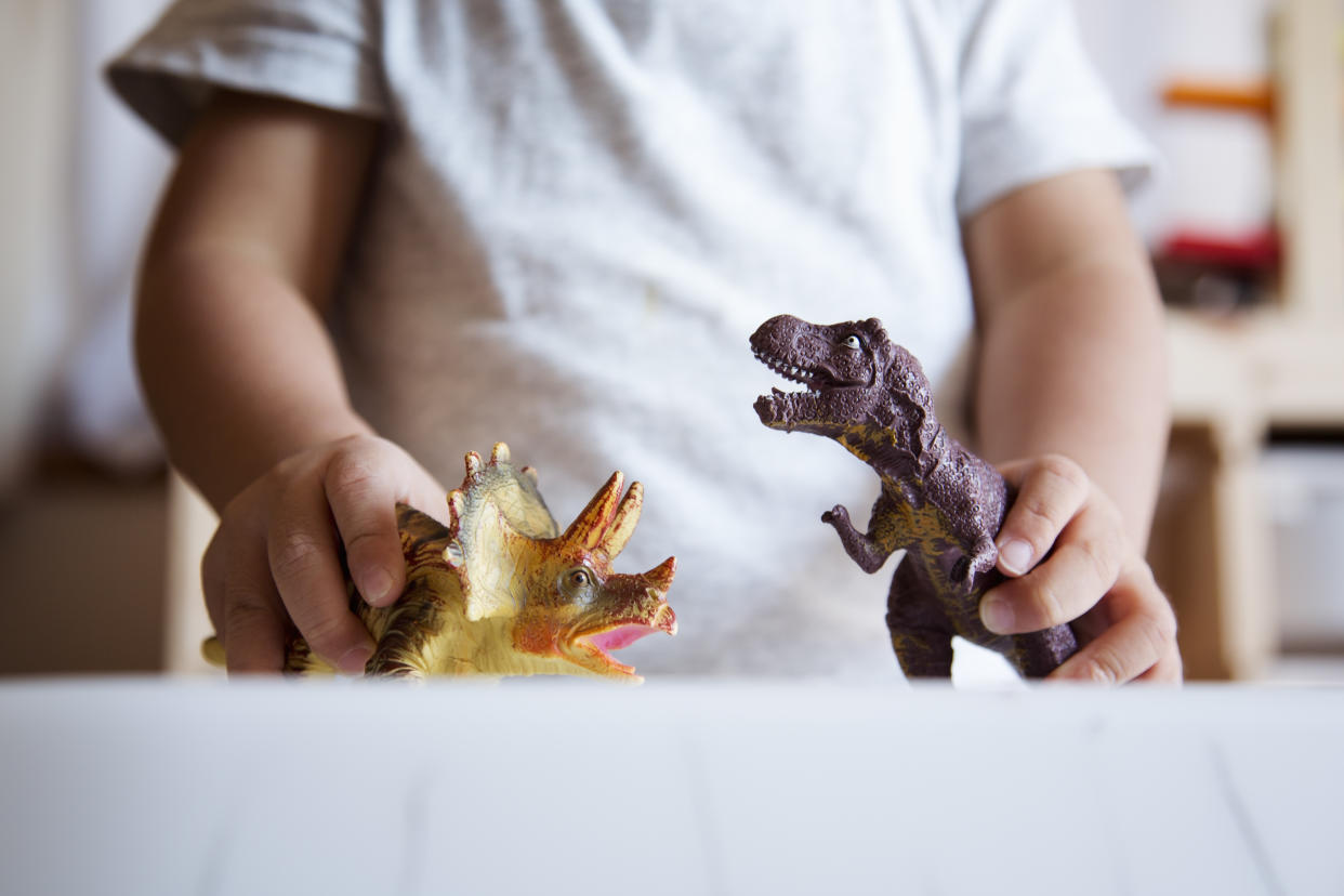 Während der Brände in Kalifornien verlor ein Junge all seine Spielzeugdinosaurier. Seine Tante meldete das über Social Media und bekam hundertfach Resonanz. (Symbolbild: GettyImages/Kohei Hara)