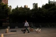 A man walks with a few dogs after Mexico's government declared a health emergency on Monday and issued stricter rules aimed at containing the fast-spreading coronavirus disease (COVID-19), in Mexico City