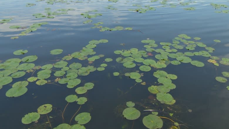 Ontario hands over last piece of land for Rouge National Urban Park, but skeptics remain