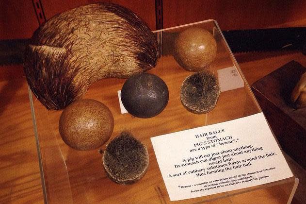 8. World's Largest Pig Hairball