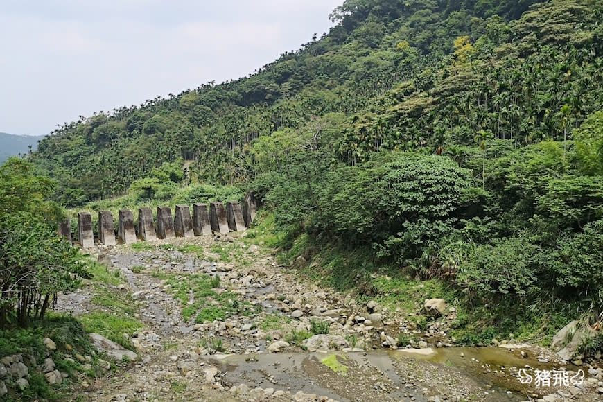 雲林古坑｜華山園區小天梯＆情人橋