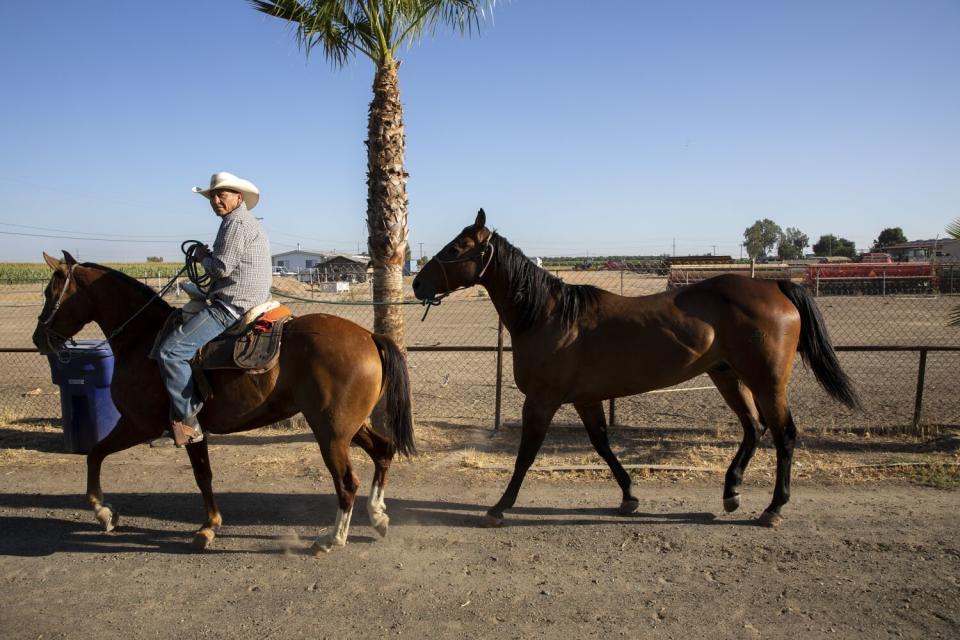 An equestrian rides along Jesús Benítez's driveway.