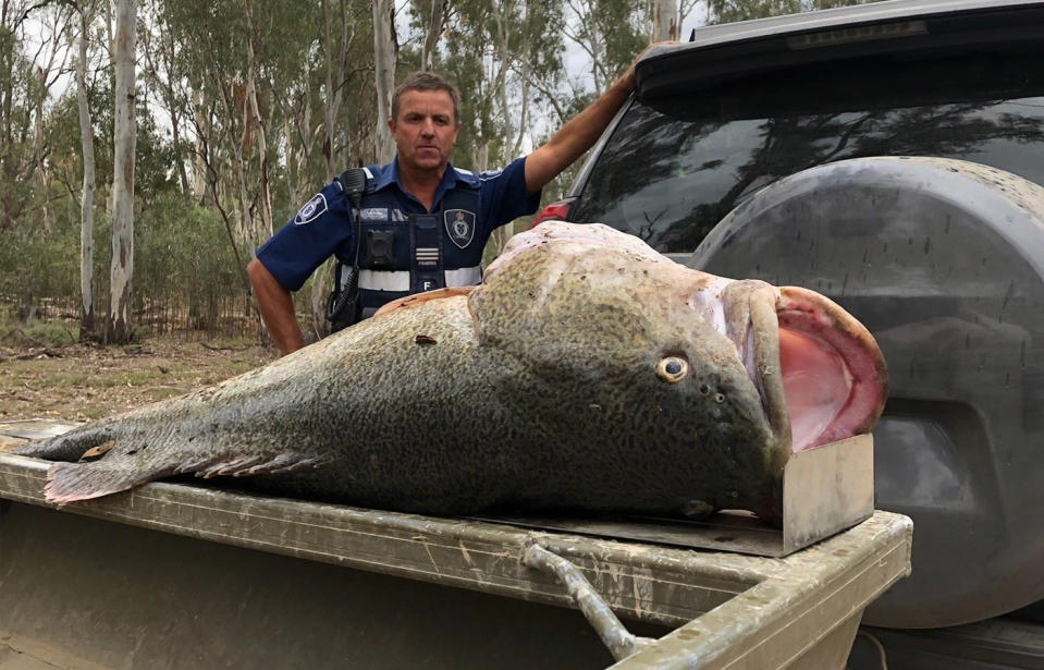 Victorian Fisheries Authority fined a man (not pictured) after he admitted to knowing it was illegal to take fish. Source: Victorian Fisheries Authority/Facebook