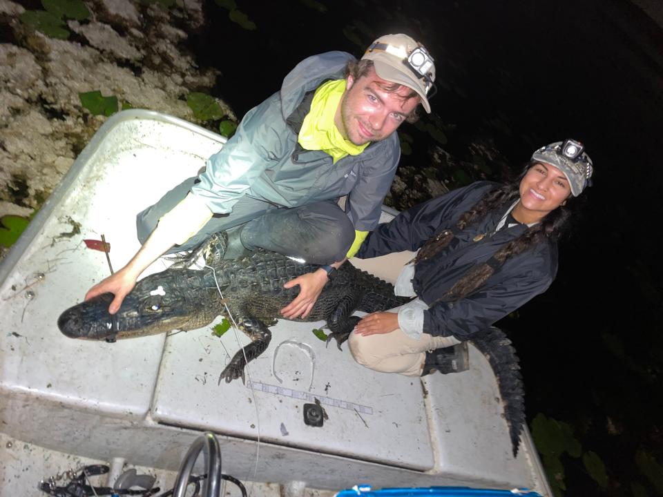 A man and a woman holding a small alligator with its mouth taped on a boat.