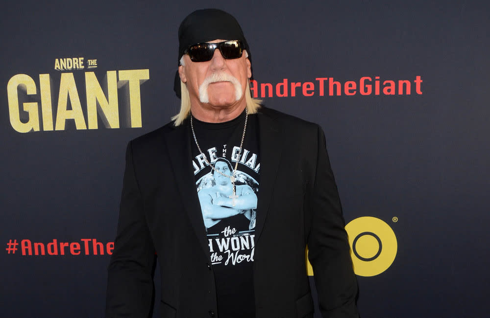 Hulk Hogan has revealed he used nothing but a pen to free a teenager from an overturned car credit:Bang Showbiz