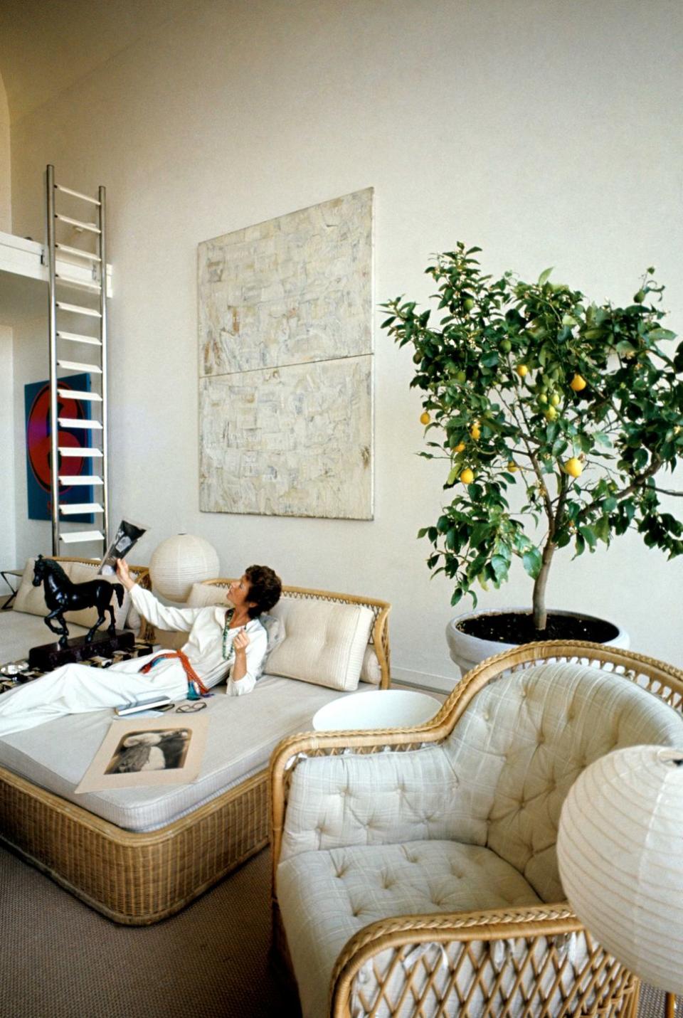 Marella Agnelli's Living Room in Rome Designed by Ward Bennett