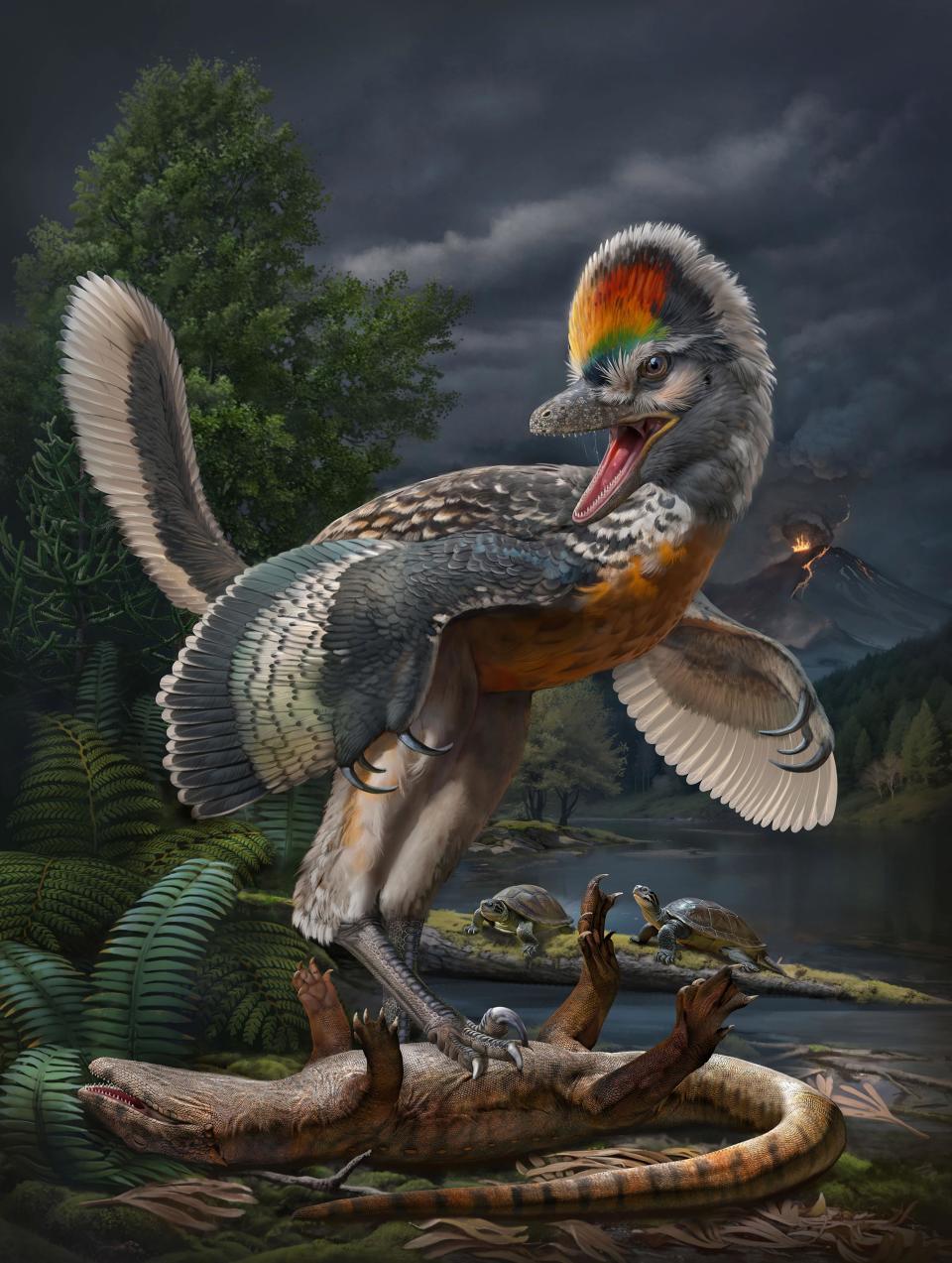 Fossil of a birdlike dinosaur could advance evolution understanding