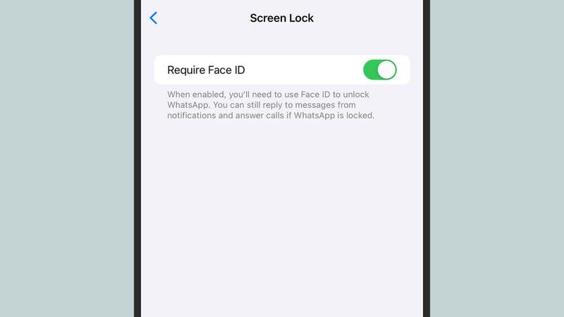 Some apps, like WhatsApp, have a screen lock included. - Screenshot: WhatsApp