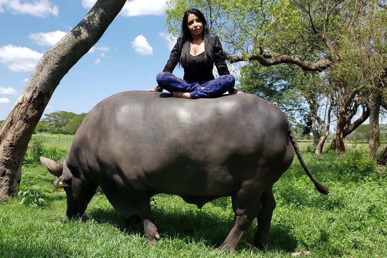 Nilda Silva dejó la ciudad y sin saber nada de campo se fue domesticar búfalos en medio de la nada