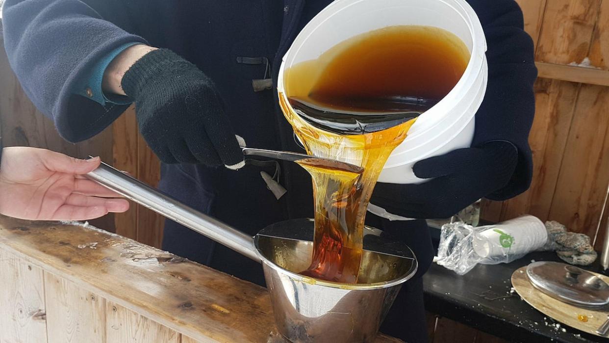 New Brunswick maple syrup production dropped 35 per cent in 2023, after a record 2022. (Rebecca Ugolini/CBC - image credit)