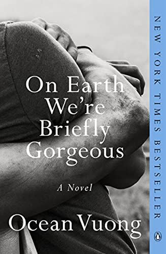 13) On Earth We're Briefly Gorgeous: A Novel