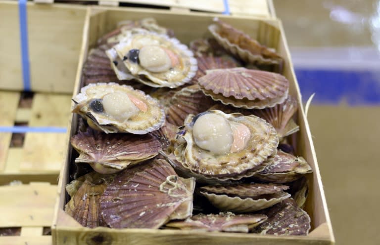 Dozens of French boats confronted a handful of British rivals in the waters late last month over the area's prized scallops