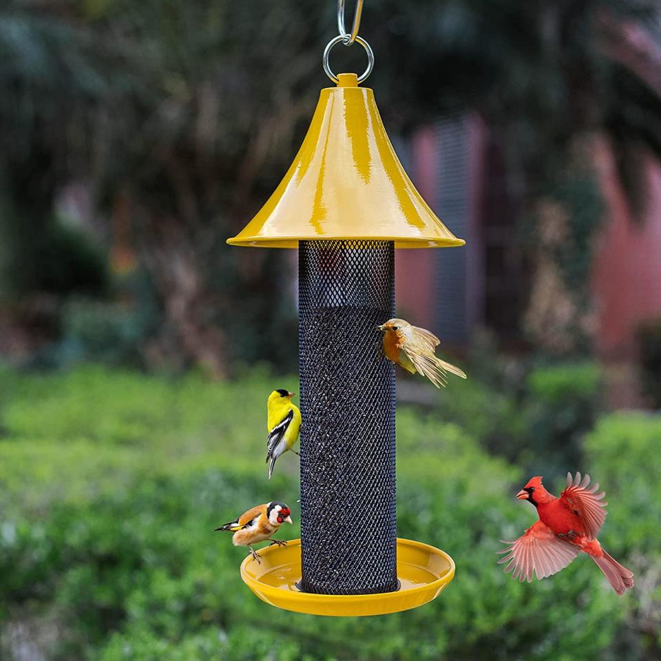 Thistle bird feeder with various bird species eating from it